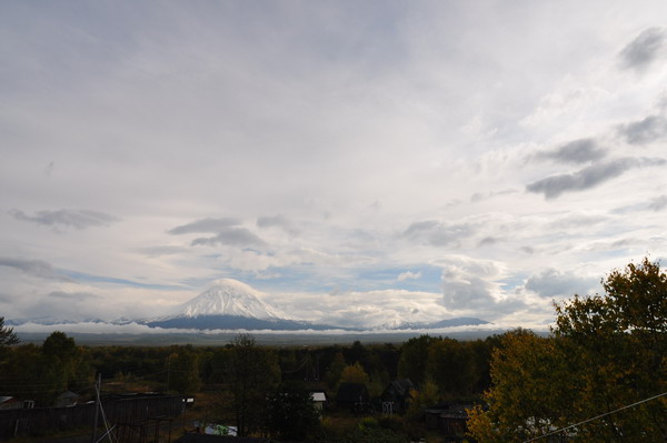 DSC_2393