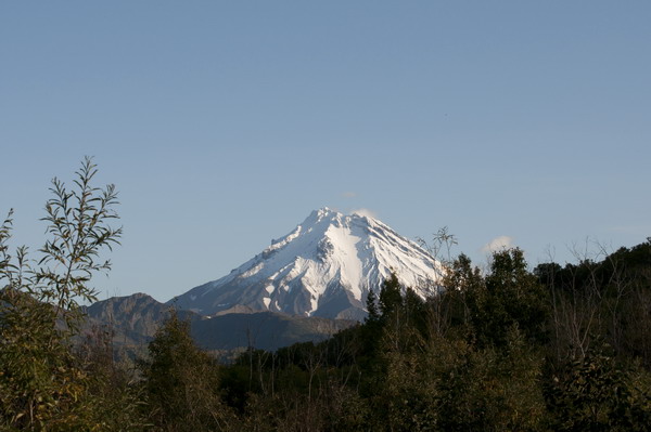 DSC_2440