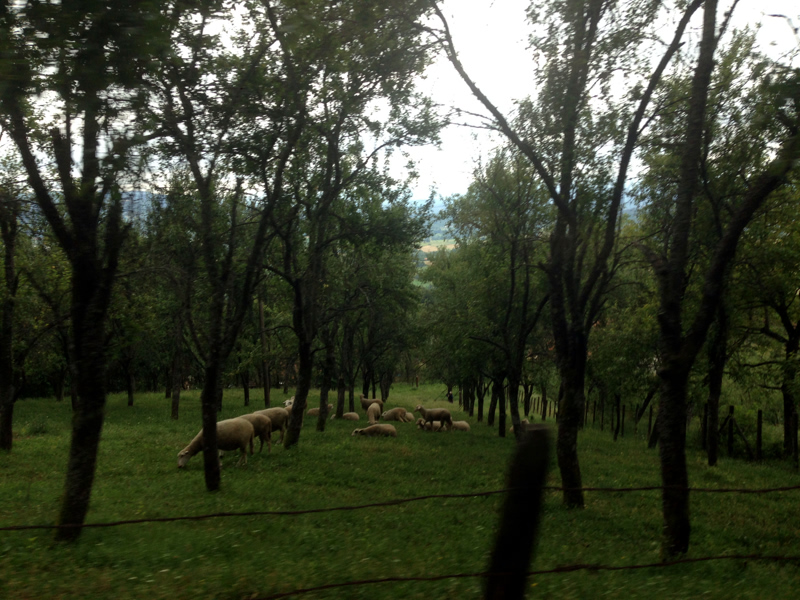 Овчаро-Кабларское ущелье. Сербия