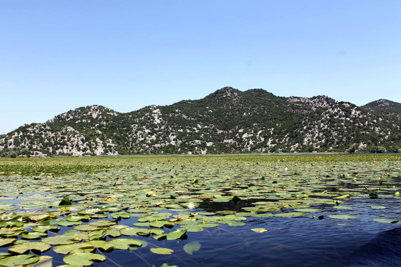 Скадарское озеро. Зетский Афон. Черногория